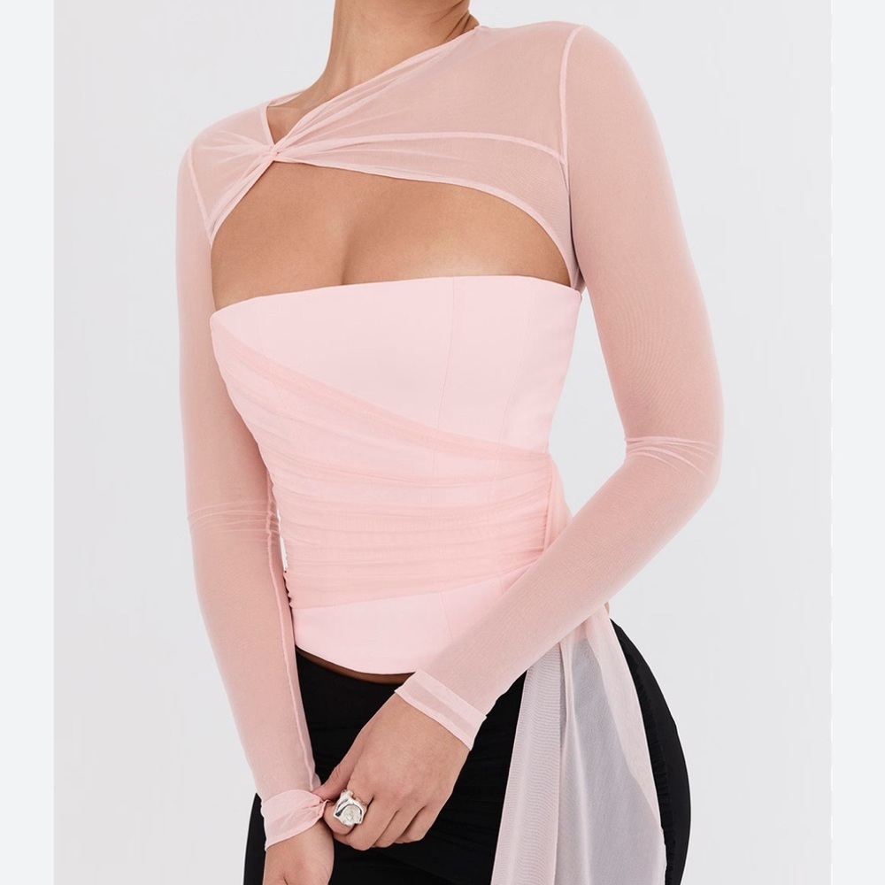Sheer Mesh Long Sleeve Pink Corset Top